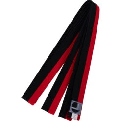 Jols Poomsae Taekwondo Belt -Boxing Promotions Store BELTPOO c 2