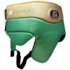 Rival RNFL100 Green/Gold Professional No-Foul Protector