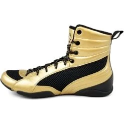 Rival RSX-Guerrero Deluxe Boxing Boots -Boxing Promotions Store RSX G DLX Gold c 2