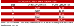 Morgan Sports V2 Classic Shin &amp; Instep -Boxing Promotions Store SG 11 V2 c